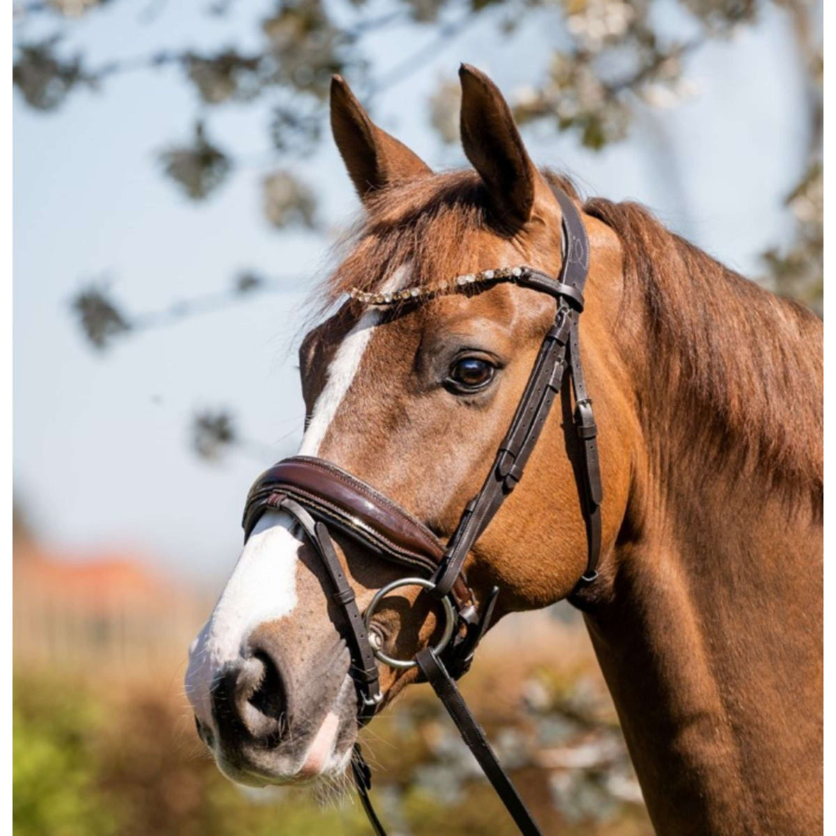 HB Bridle Juwel Glitter brown/gold