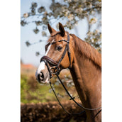 HB Bridle Juwel Glitter brown/gold