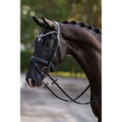 HB Showtime Bridle Stars Black