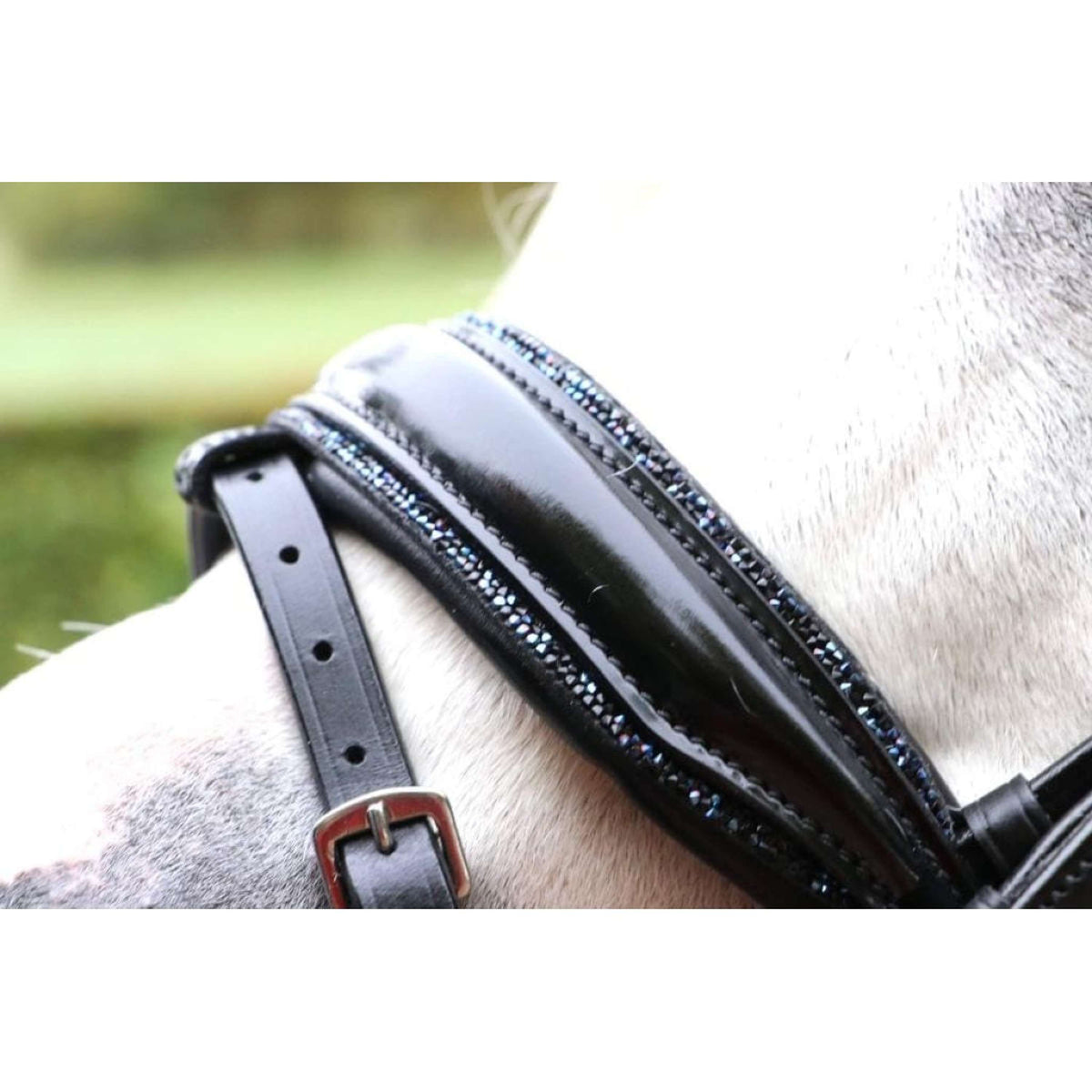 HB Bridle Special black/navy