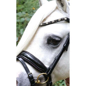 HB Bridle Special Black/Burgundy