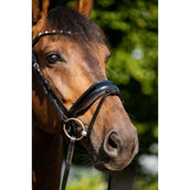 HB Showtime Bridle Sweet Dreams Black/Burgundy