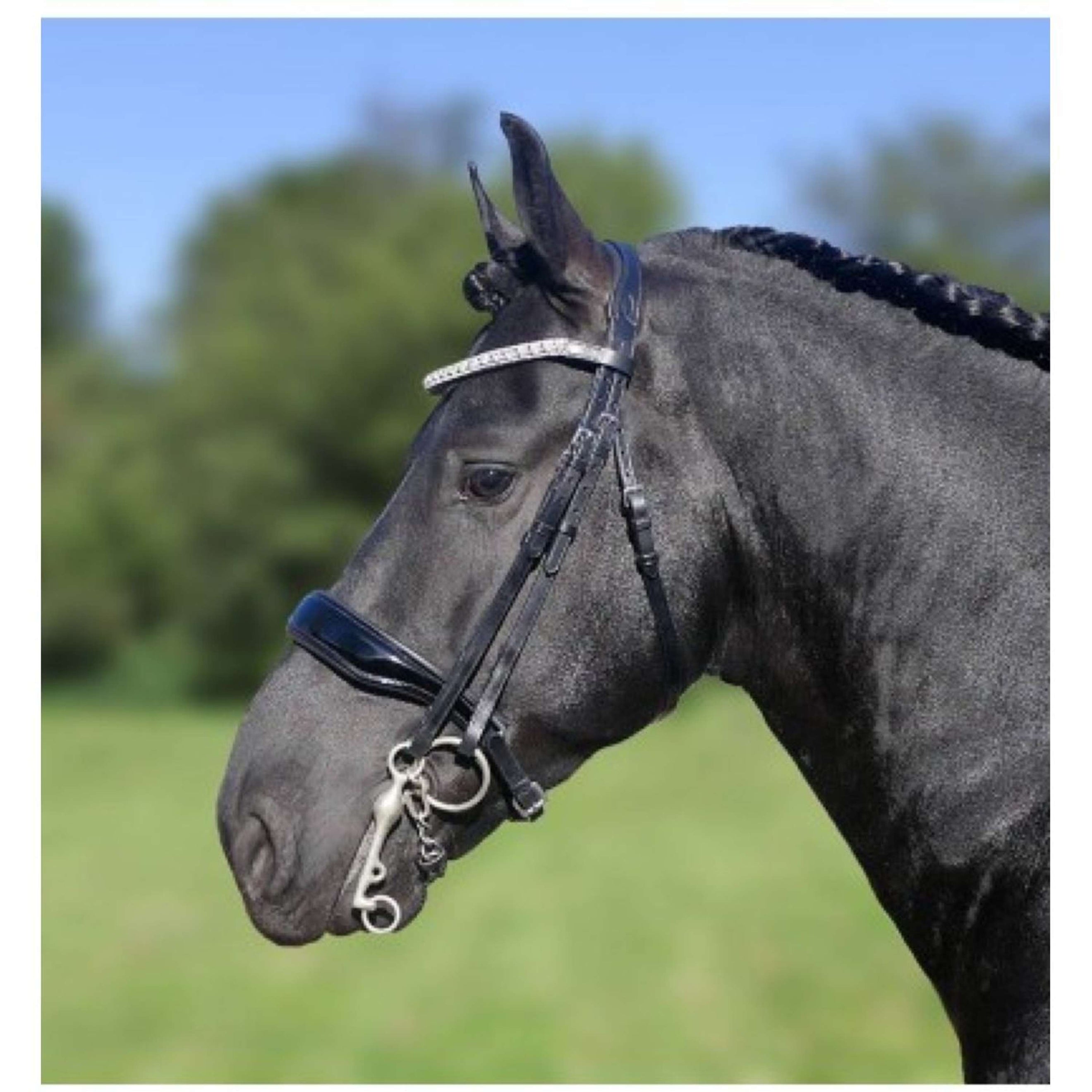 HB Showtime Bridle Dream For Ever Black