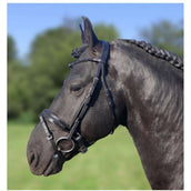 HB Showtime Bridle Passion Halfround Black