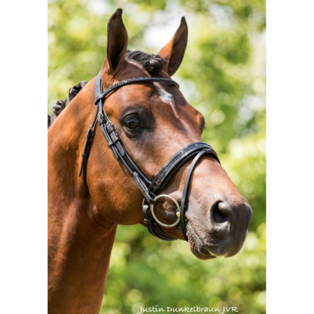 HB Showtime Bridle Passion Halfround Black