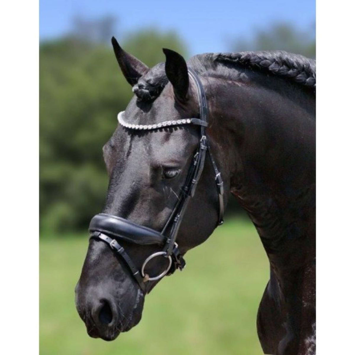 HB Showtime Bridle Luxury Black