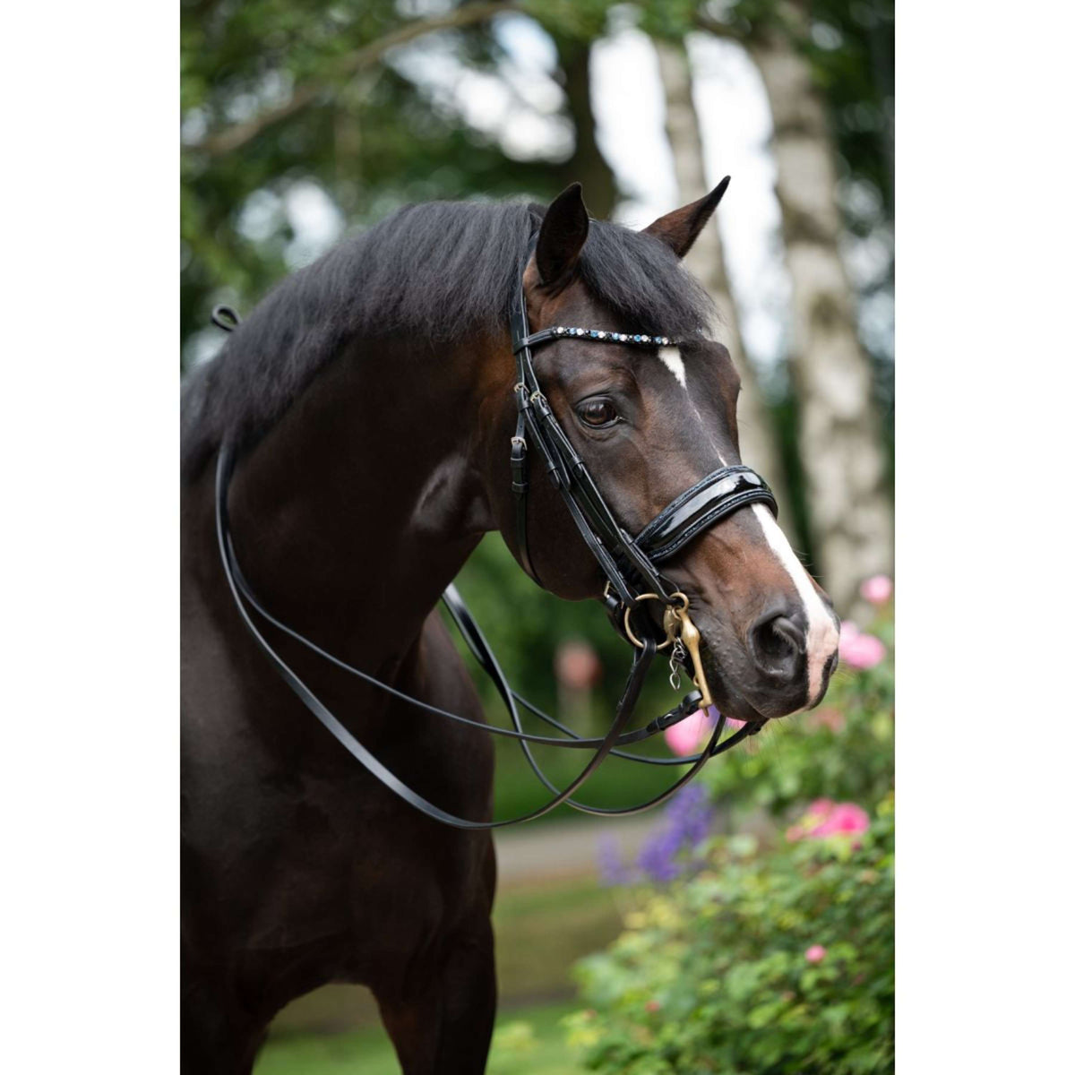 HB Double Bridle Special for You black/navy