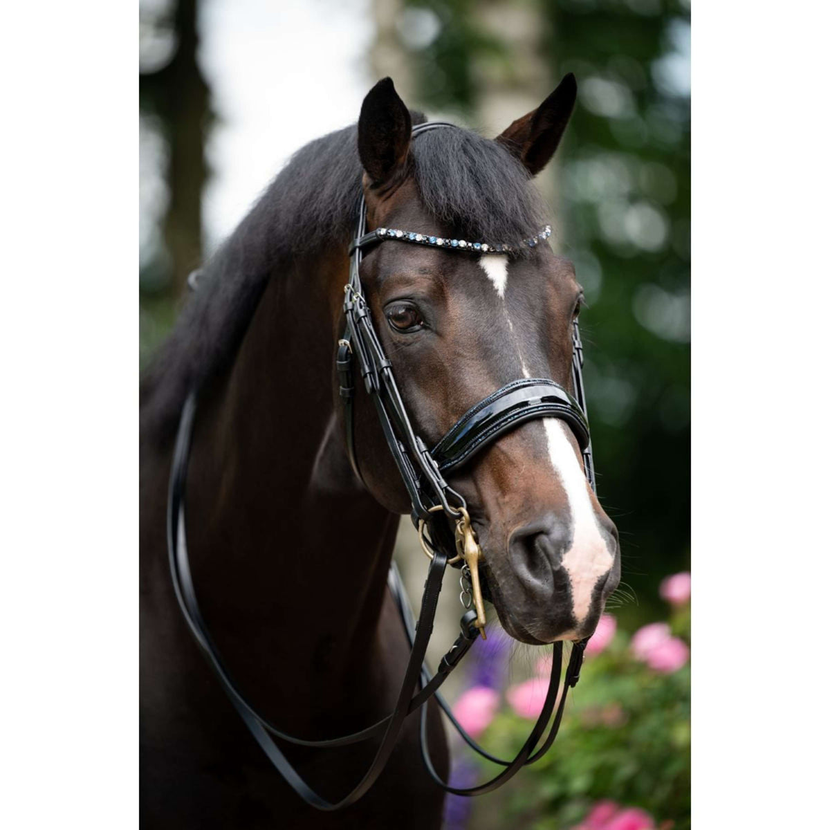 HB Double Bridle Special for You black/navy