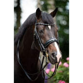 HB Double Bridle Special for You black/navy