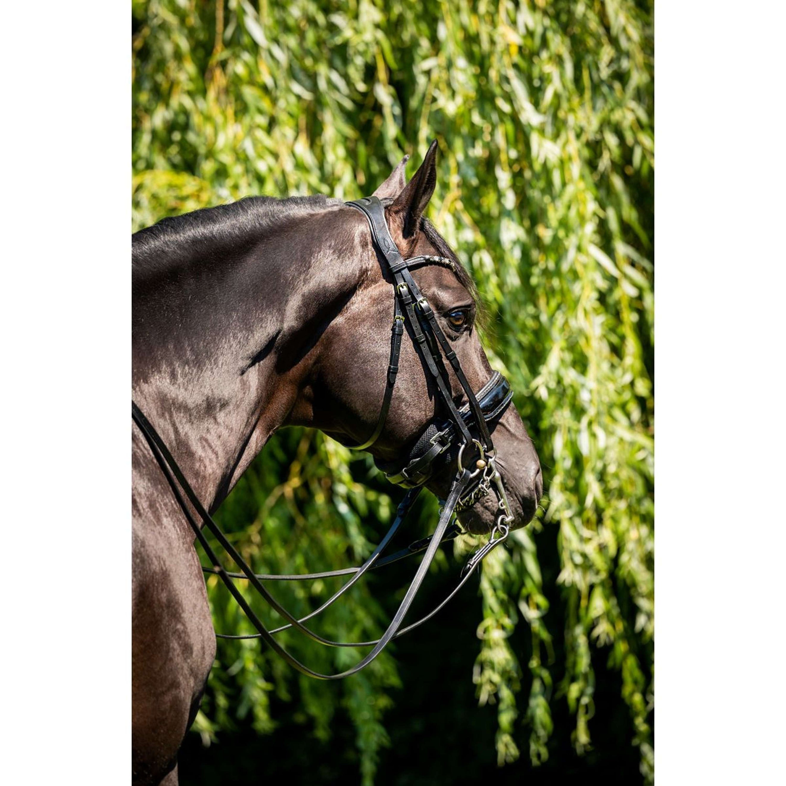 HB Showtime Double Bridle Special for You Black/Grey Glitter