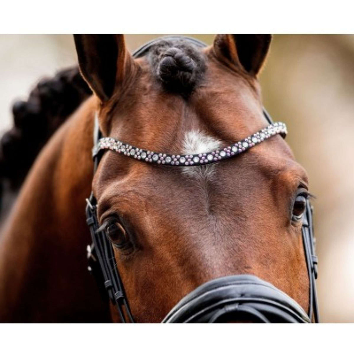 HB Showtime Browband Butterfly Black