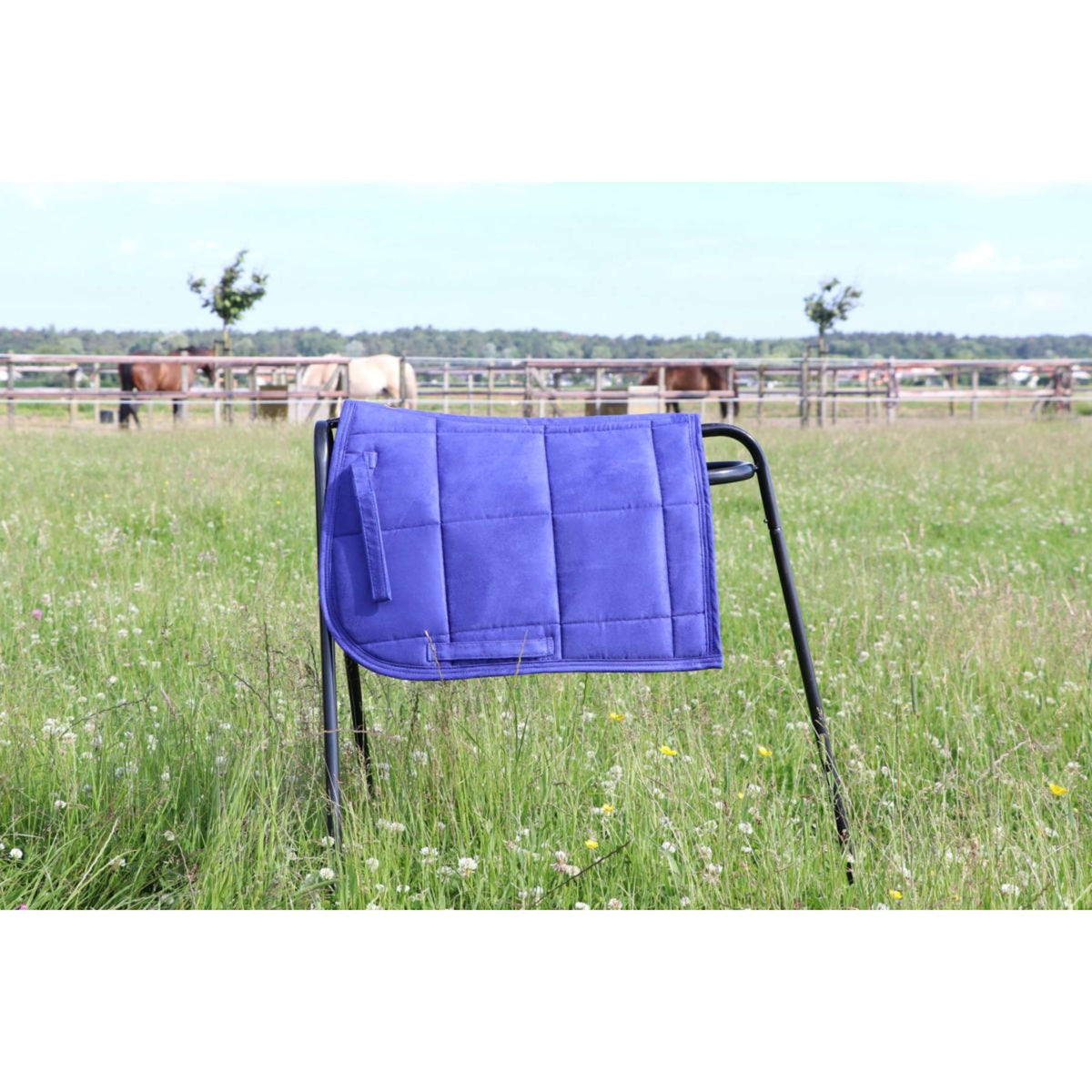 HB Saddlepad Shetland Royal Blue