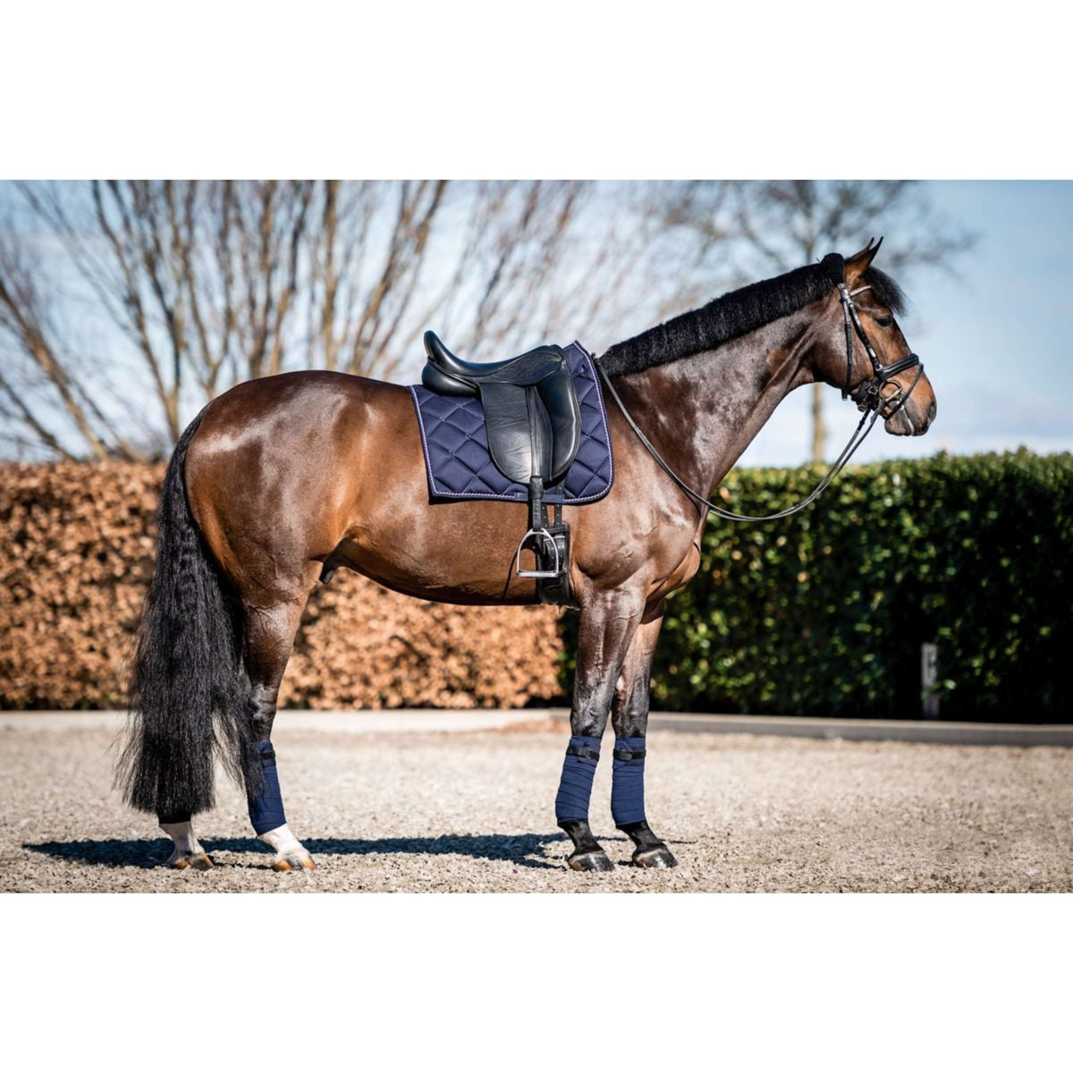 HB Showtime Saddlepad Crown Dressage Navy