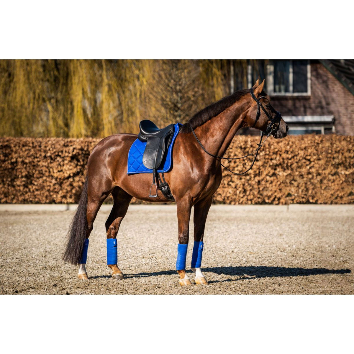 HB Showtime Saddlepad Crown Dressage Royal Blue