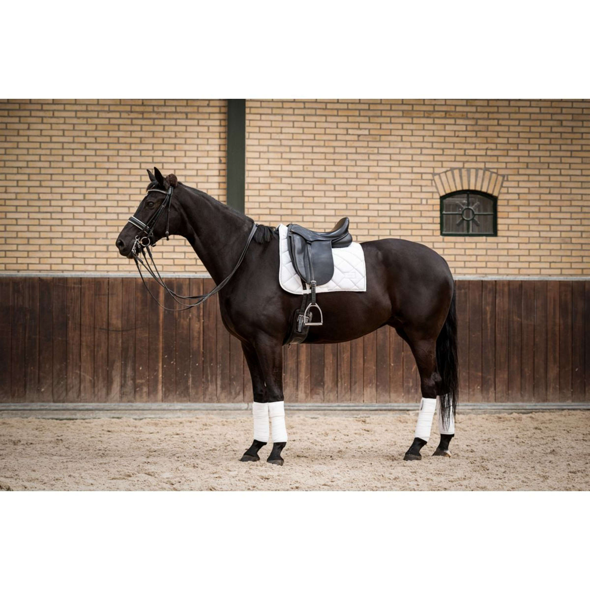 HB Showtime Saddlepad Crown Dressage White