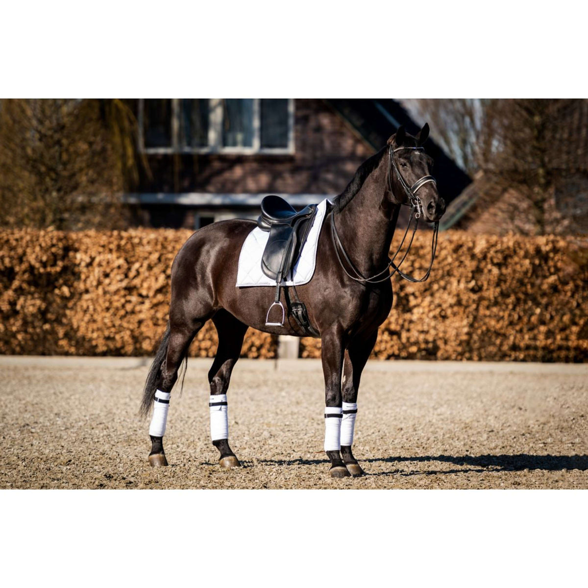 HB Showtime Saddlepad Crown Dressage White