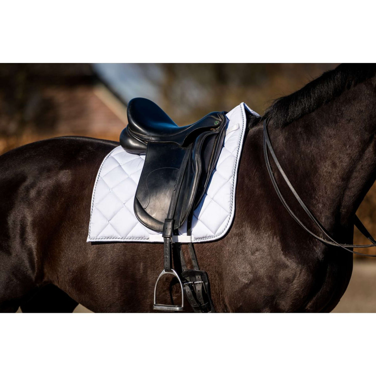 HB Showtime Saddlepad Crown Dressage White