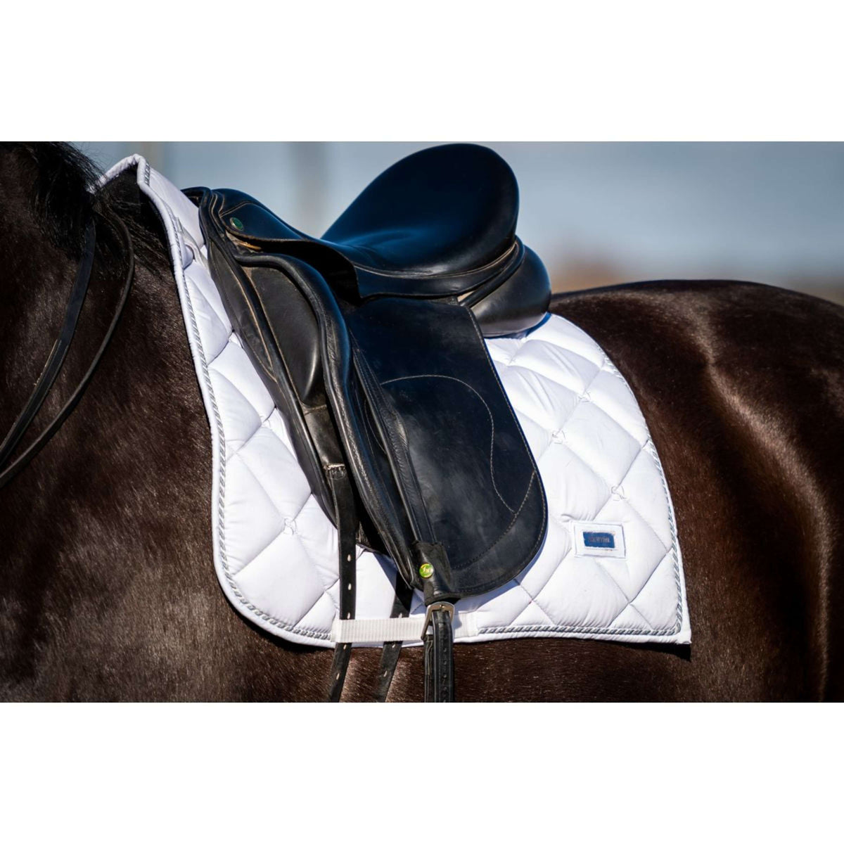 HB Showtime Saddlepad Crown Dressage White