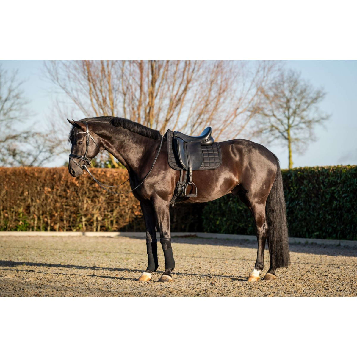 HB Saddlepad Showtime Glitty Dressage Black