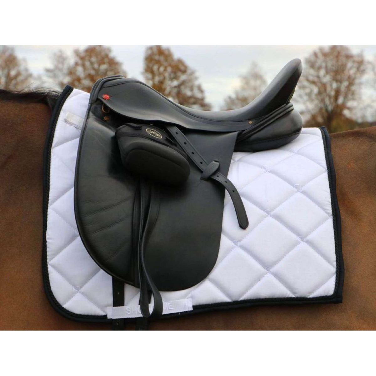 HB Saddlepad Showtime Dressage White/Black