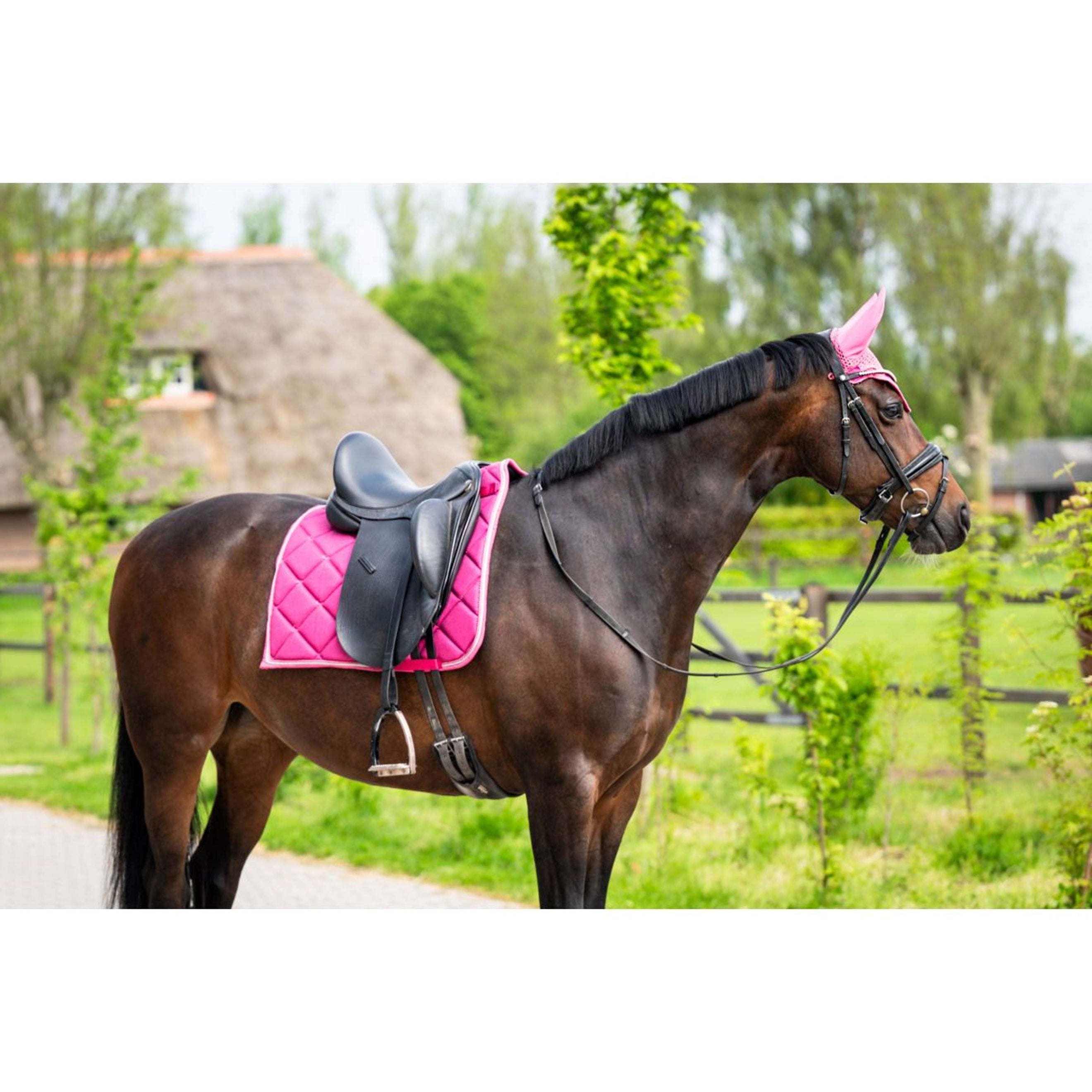 HB Saddlepad Dressage Showtime Fucsia