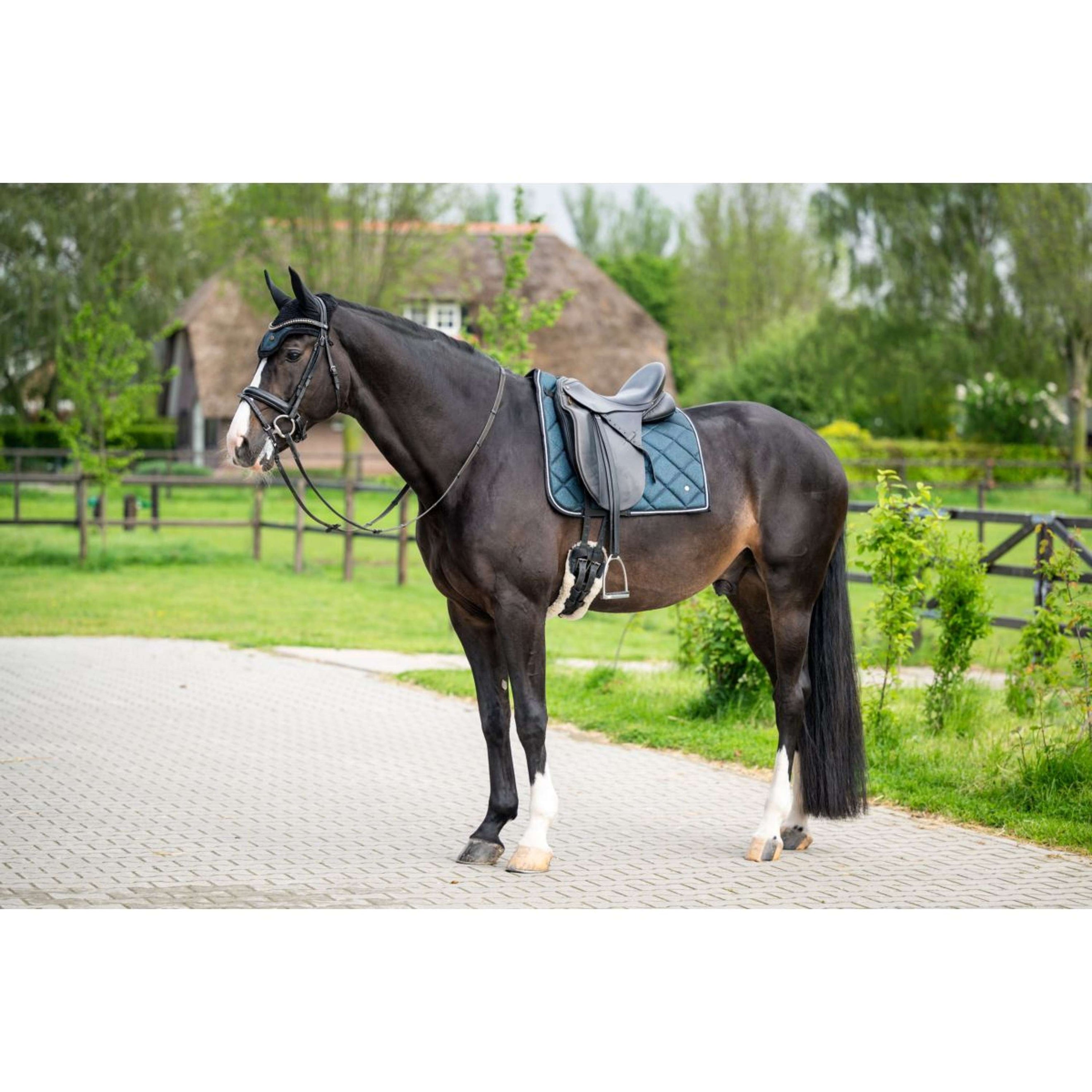 HB Saddlepad Dressage Showtime Green