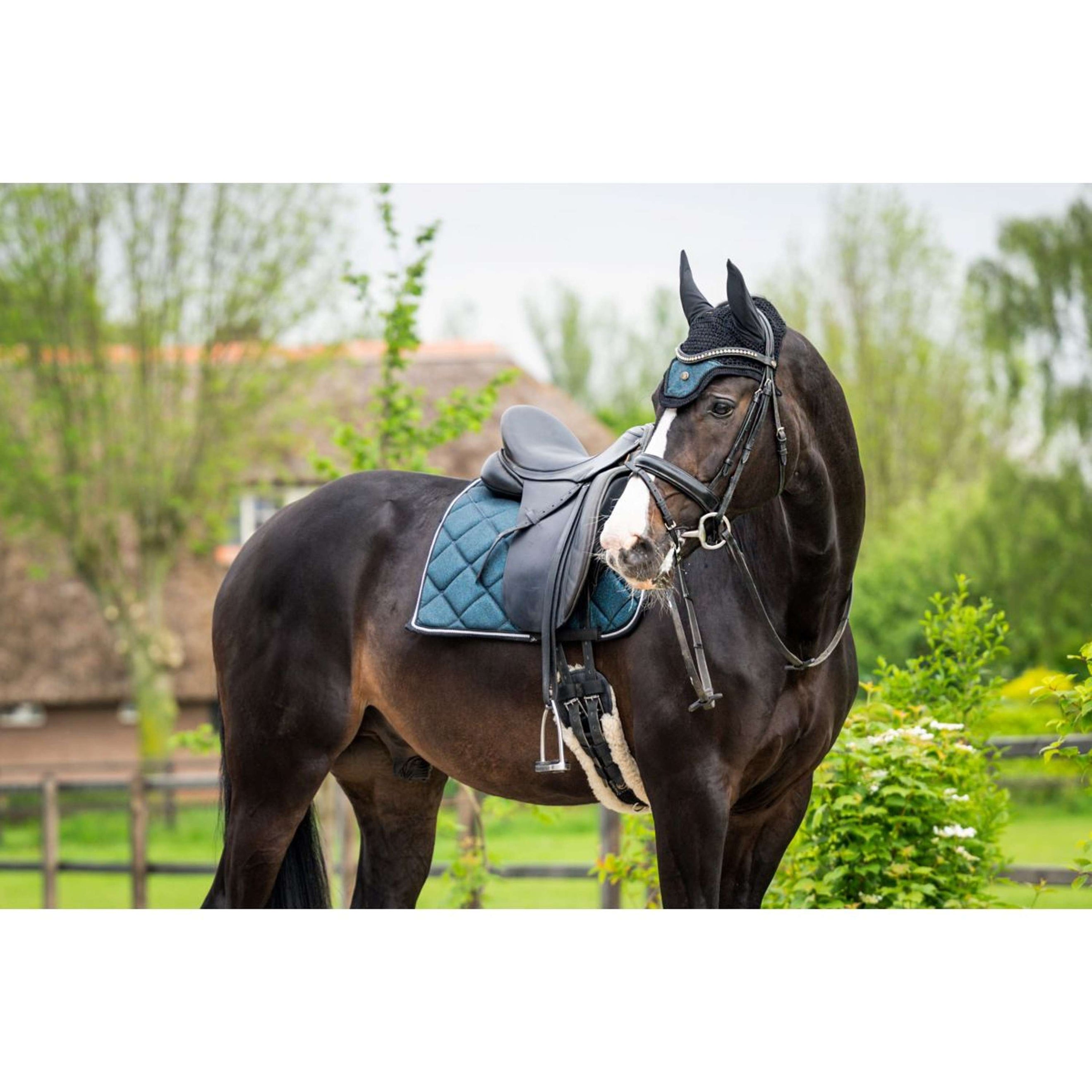 HB Saddlepad Dressage Showtime Green