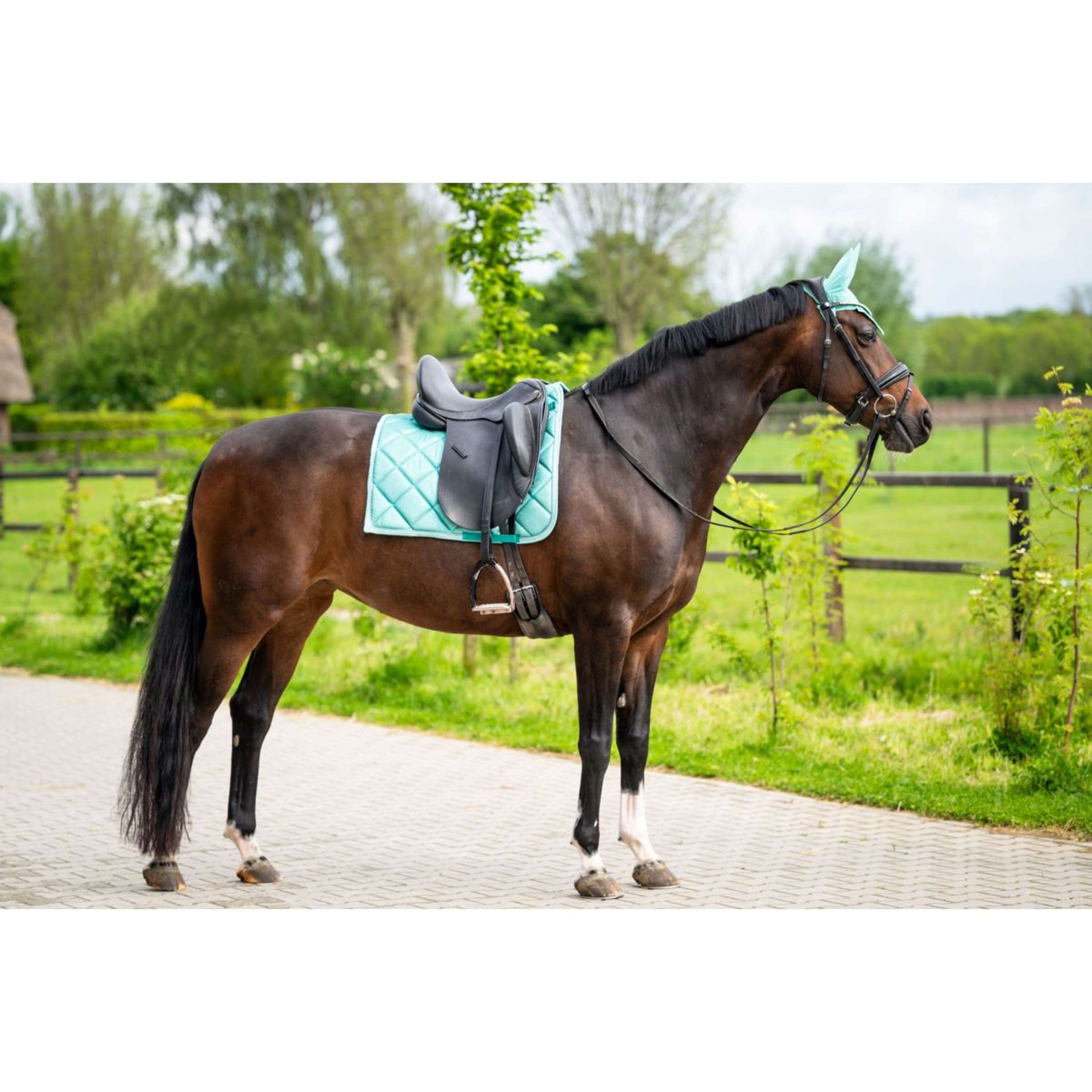 HB Saddlepad Dressage Showtime Lime