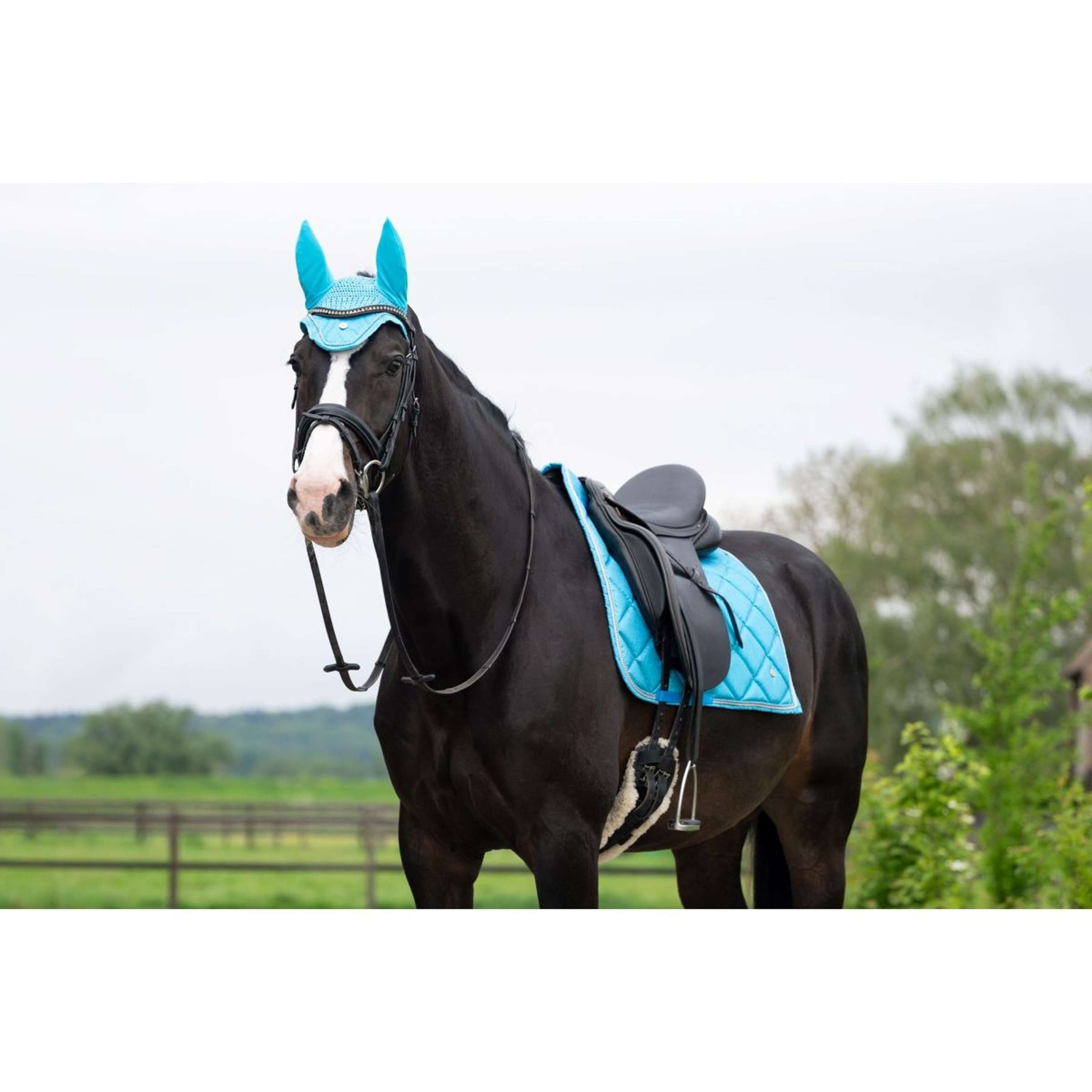 HB Saddlepad Dressage Showtime Turquoise