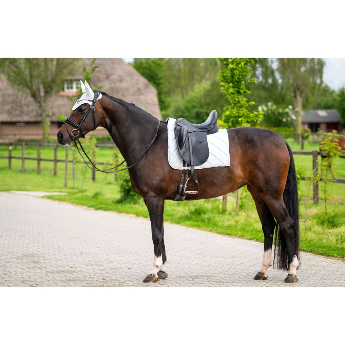 HB Saddlepad Dressage Showtime White