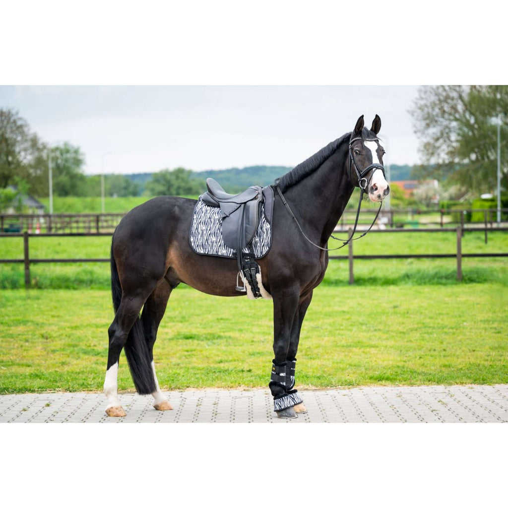 HB Saddlepad Zebra Dressage Black/White