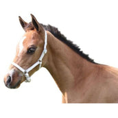 HB Foal Halter Leather White