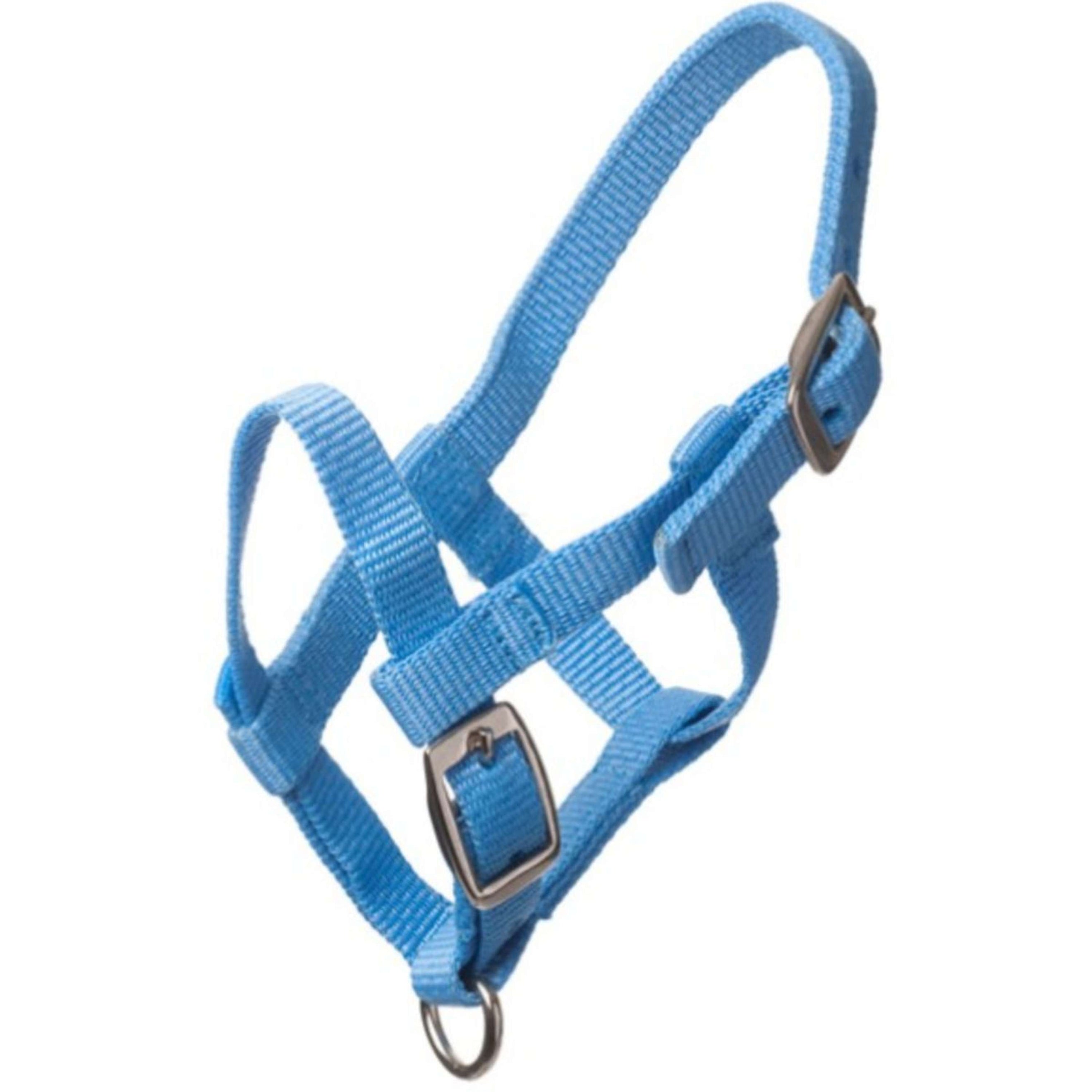 HB Halter Nylon Lightblue