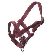 HB Halter Nylon Bordeaux