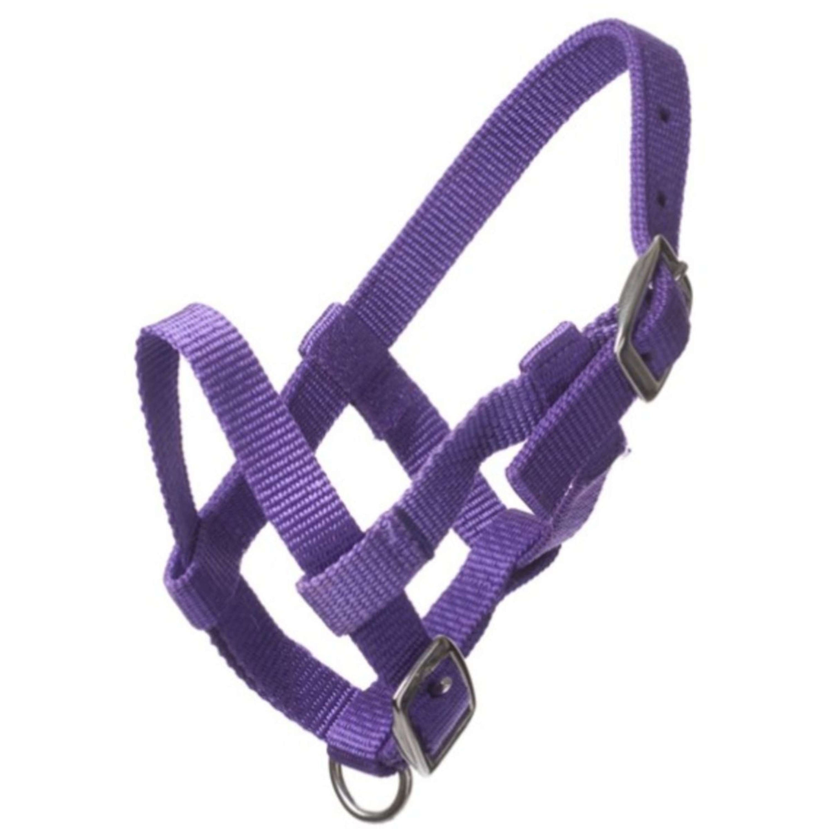 HB Halter Nylon Purple