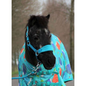 HB Harry & Hector Halter Bellwood Fleece Turquoise