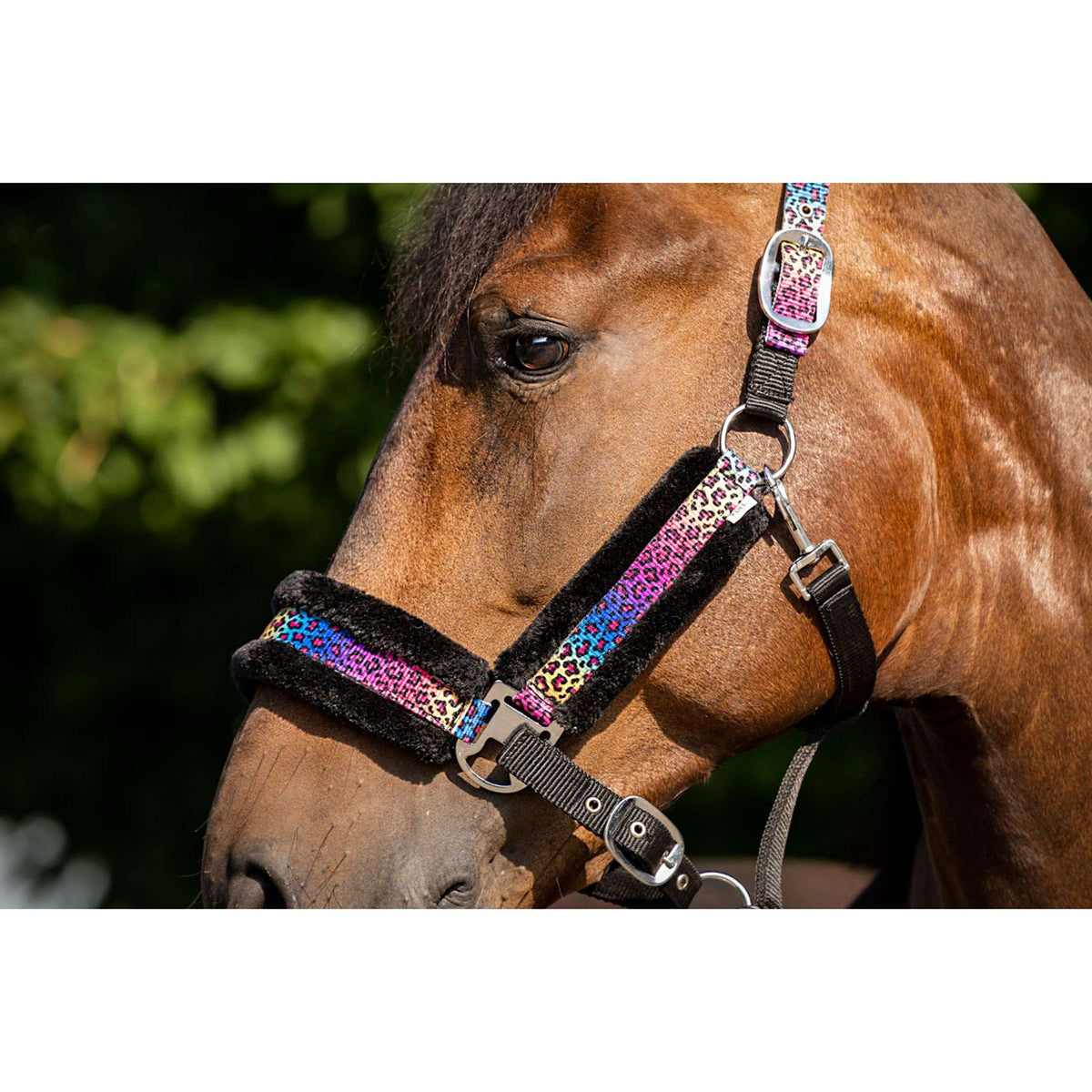 HB Halter Funny Black/Rainbow