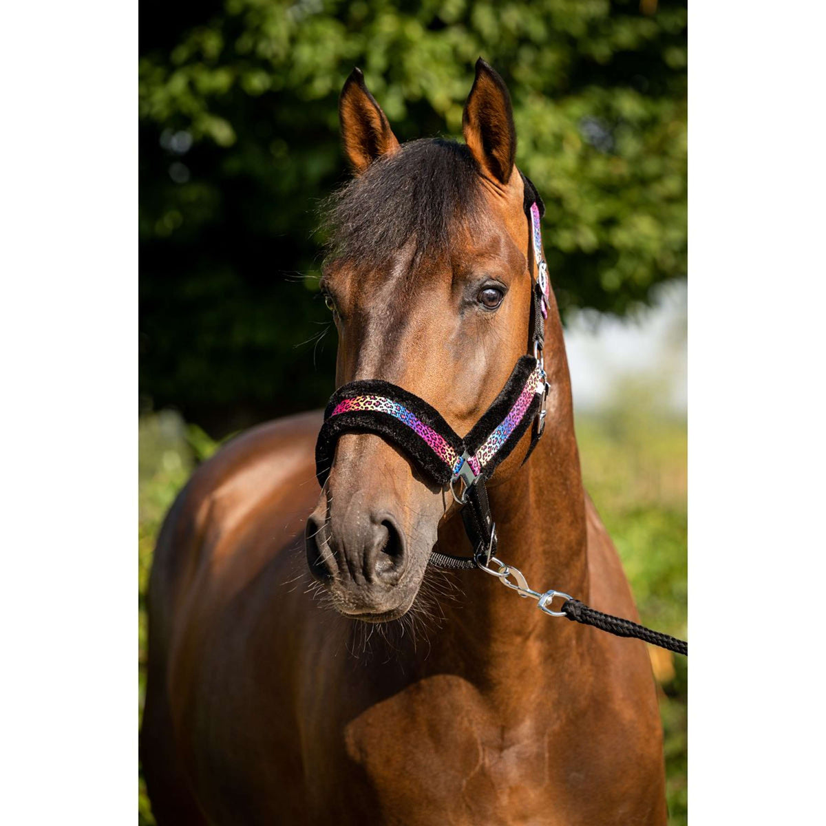 HB Halter Funny Black/Rainbow