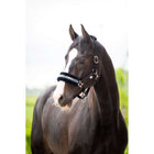 HB Halter Zebra Black/White