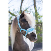HB Halter Nylon Cavesson Lightblue