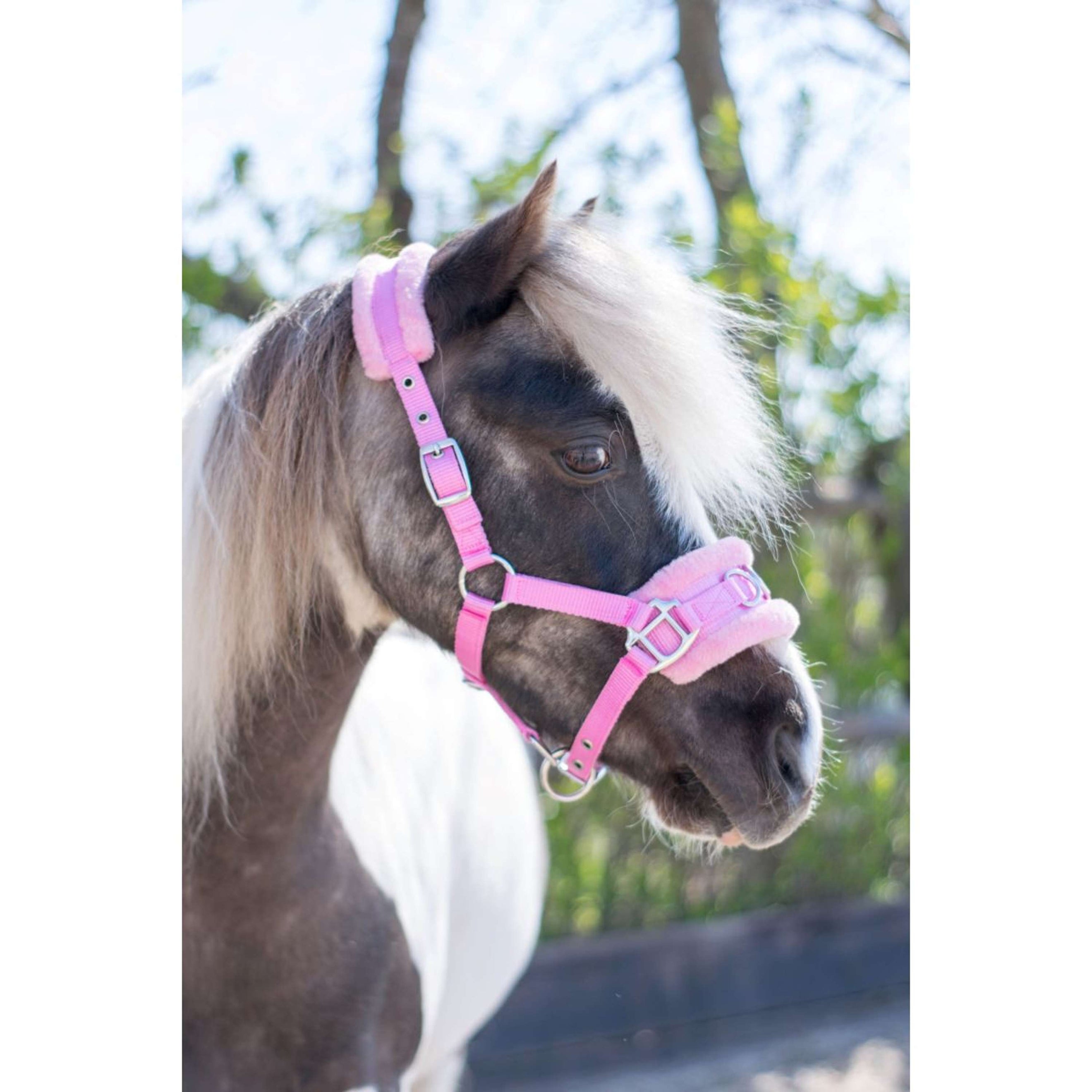 HB Halter Nylon Cavesson Pink HB Halter Nylon Cavesson Pink