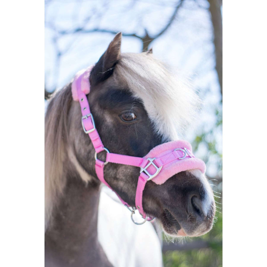 HB Halter Nylon Cavesson Pink