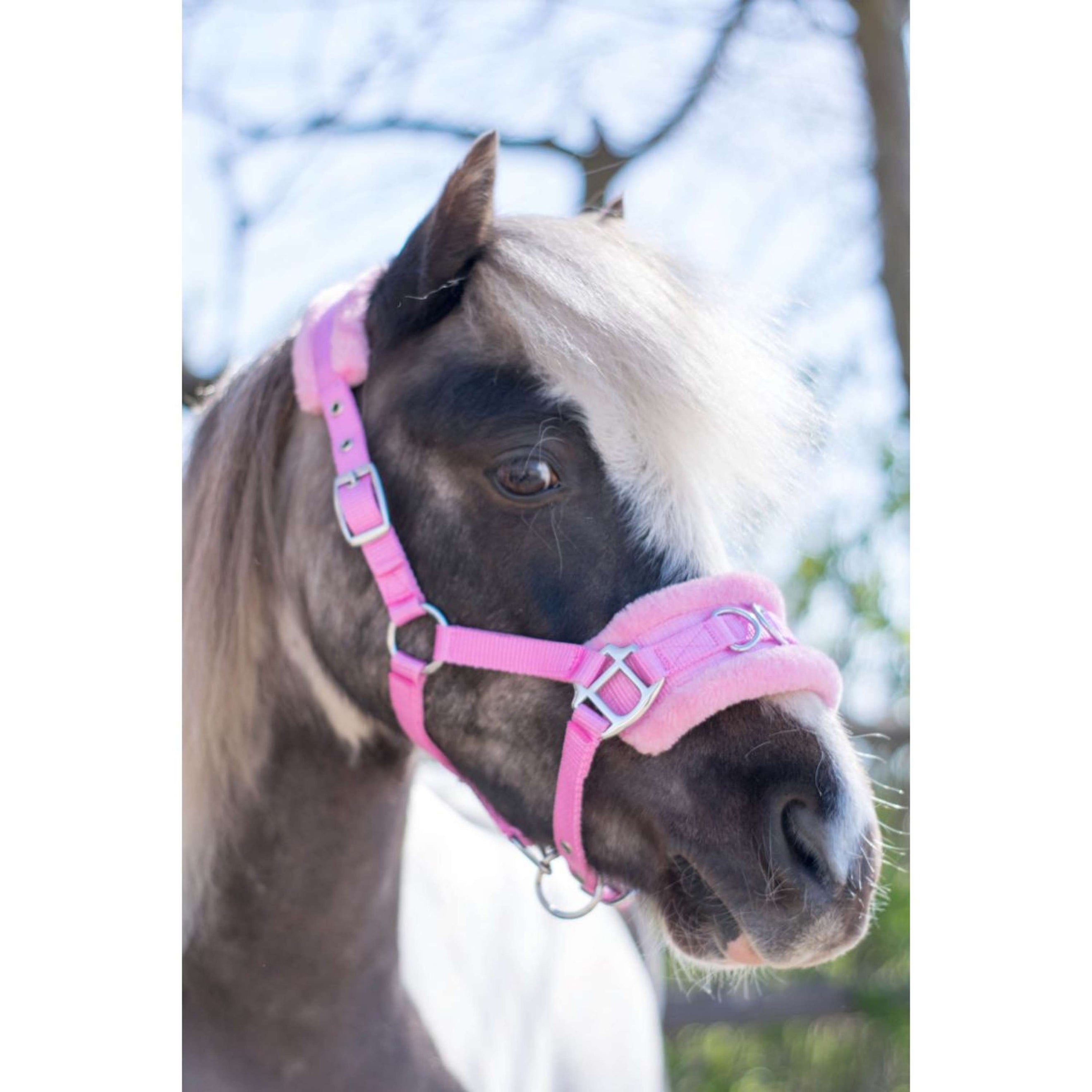 HB Halter Nylon Cavesson Pink