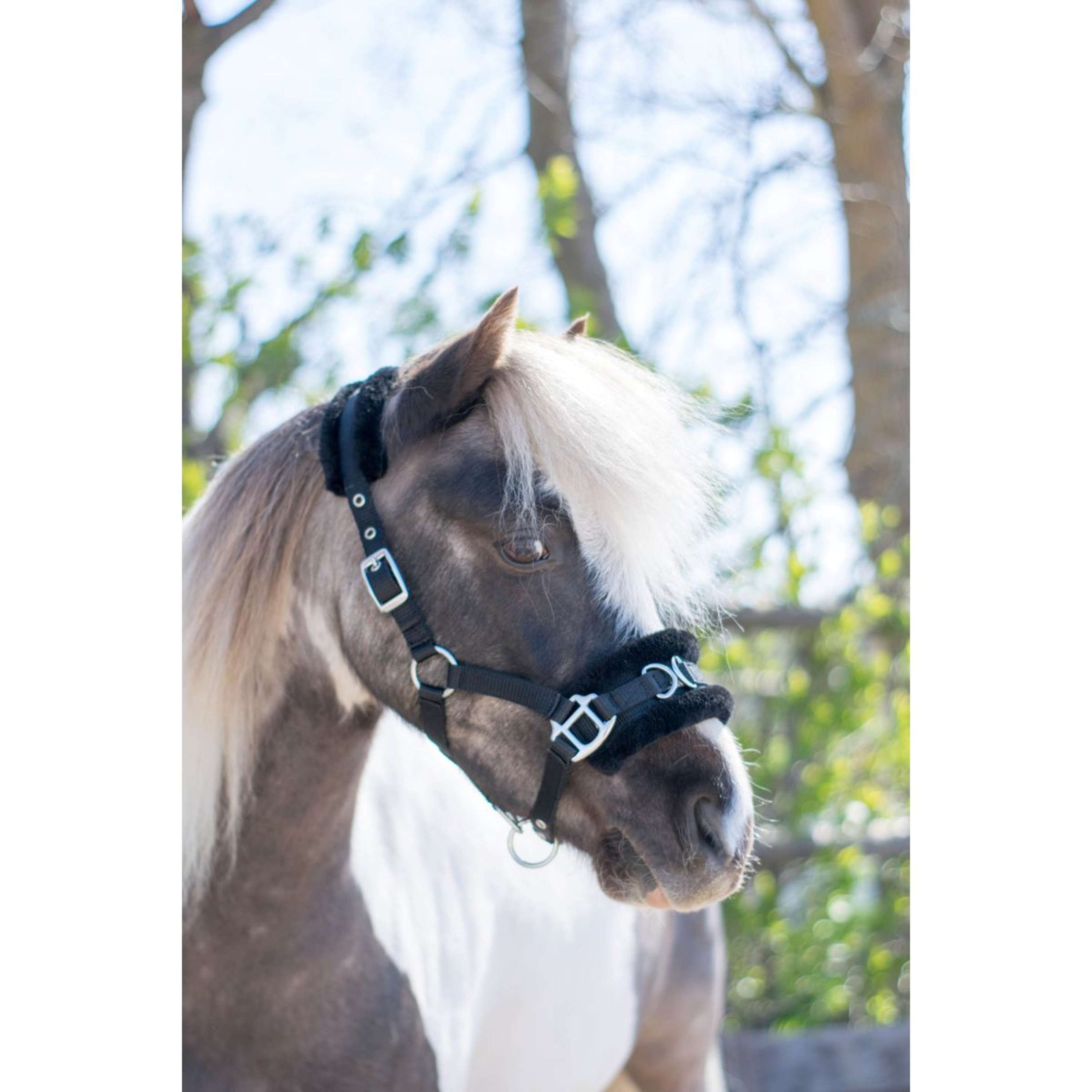 HB Halter Nylon Cavesson Black