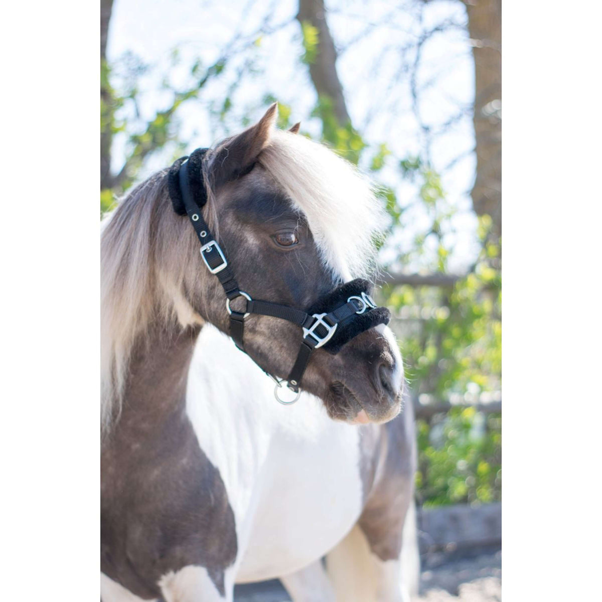 HB Halter Nylon Cavesson Black