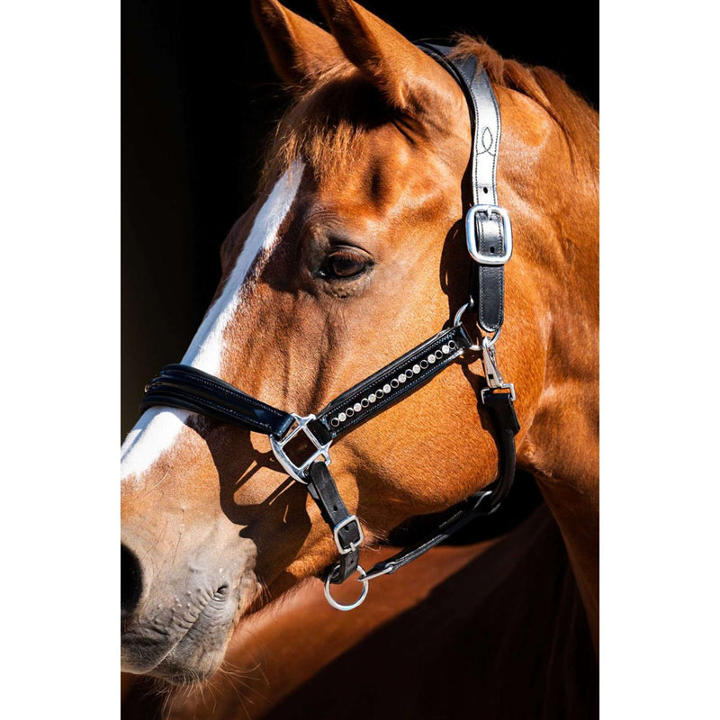 HB Showtime Halter Rivet Swarovski Leather Black