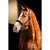 HB Showtime Halter Rivet Swarovski Leather Black