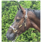 HB Showtime Halter Horse Name Leather Brown