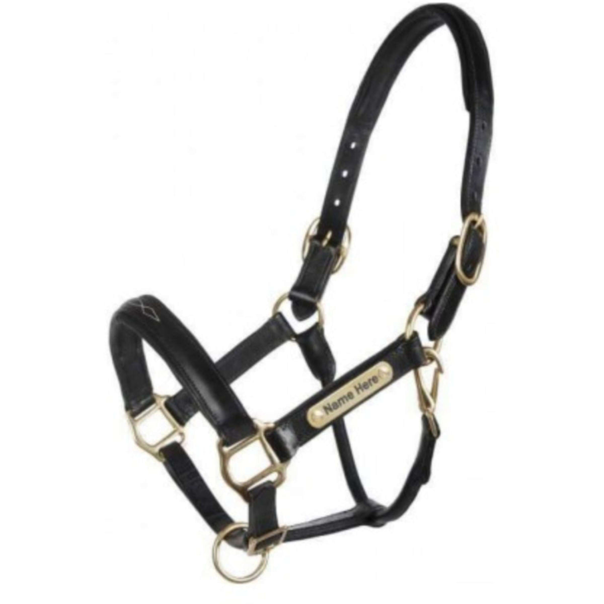 HB Showtime Halter Horse Name Leather Black