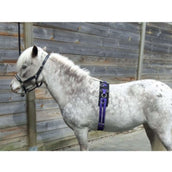 HB Lunging Girth Little Sizes Purple